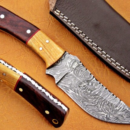 Damascus Steel Blade Skinner Knife With Walnut Wood Handle And Olive Wood Bolster