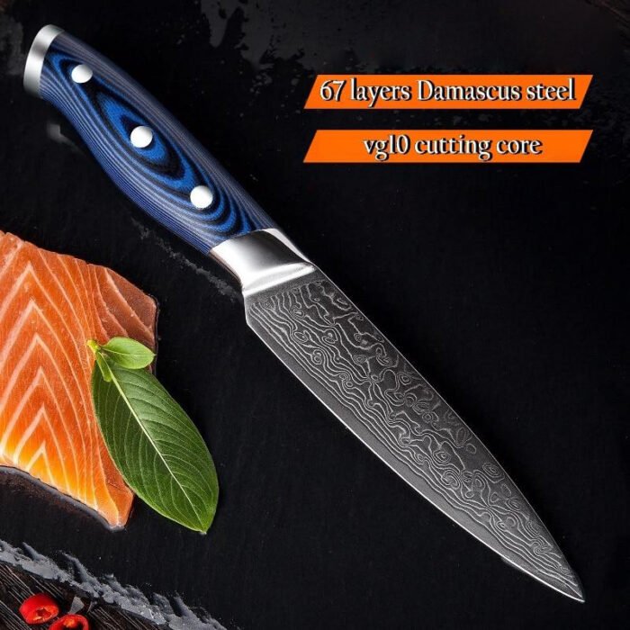 Stainless Steel Steak Knife 4 pcs Set Damascus - 67 Layers