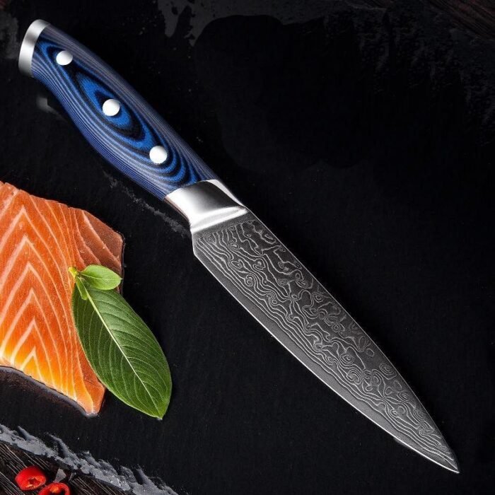 Stainless Steel Steak Knife 4 pcs Set Damascus - 67 Layers