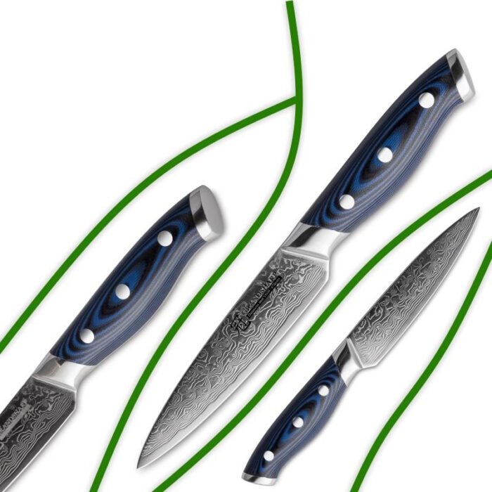 Stainless Steel Steak Knife 4 pcs Set Damascus - 67 Layers