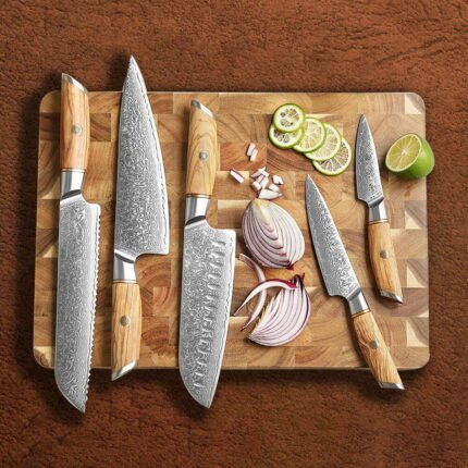 5PCS Damascus Steel 73 Layers Raindrop Knife Set With Pakka Wood Handle