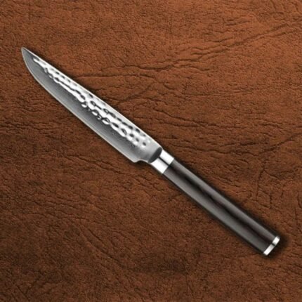 67 layers Damascus Steel Steak Knife with Pakka Wood Handle