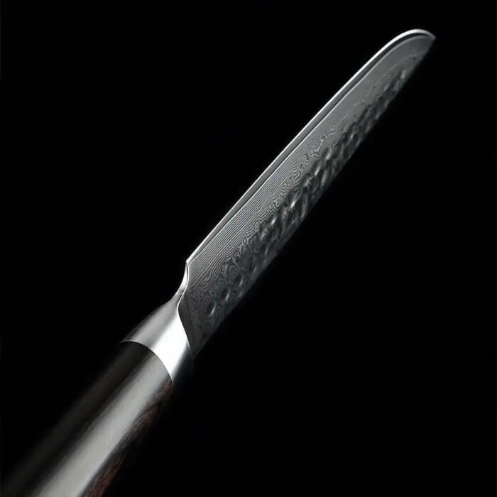 67 layers Damascus Steel Steak Knife with Pakka Wood Handle