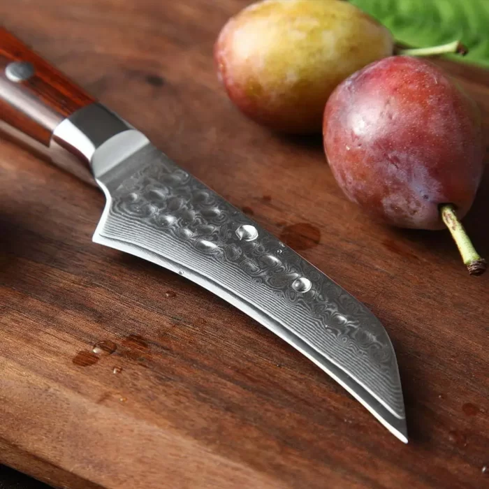 High-end Sharp Blade Japanese Damascus steel Paring Knife
