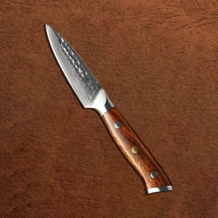 Damascus DSKK B13D Professional Kitchen Chef Knife with Desert Iron Wood Handle